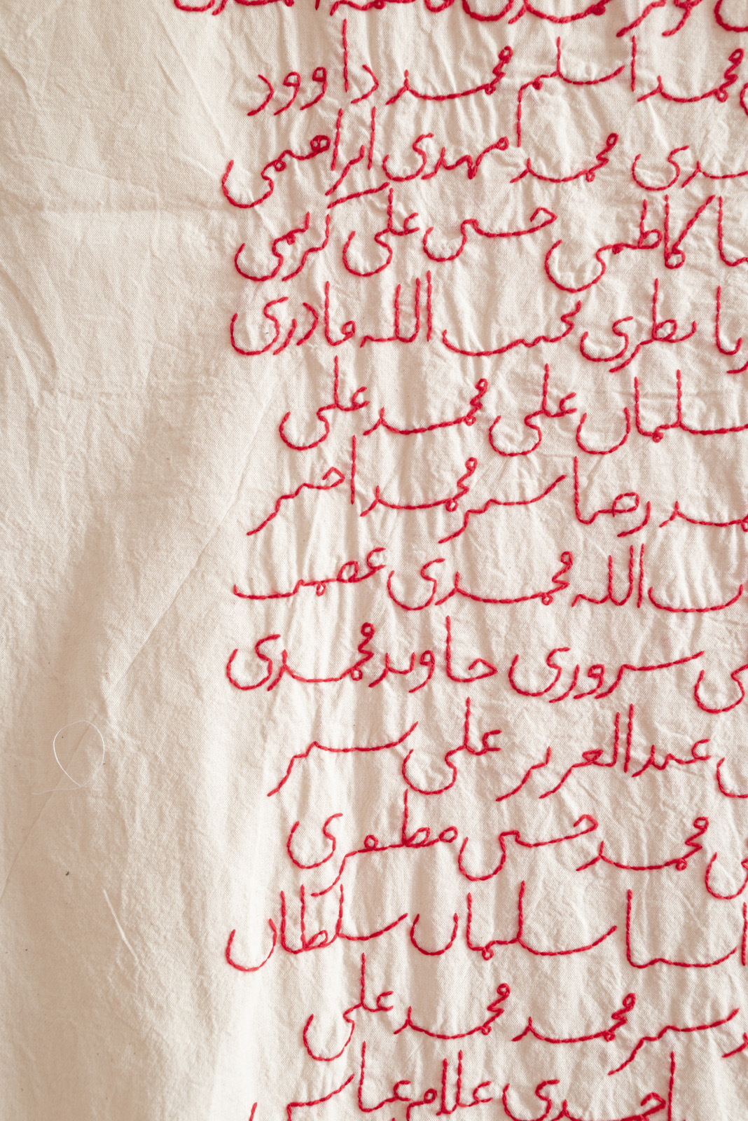 I Could See Flowers Latifa Zafar Ataii 4B