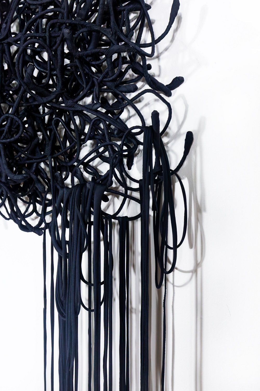 Ordo, 2026, Detail