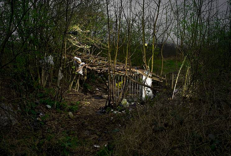 Jungle Des Garennes 2008 Fotografia Cm 50x70