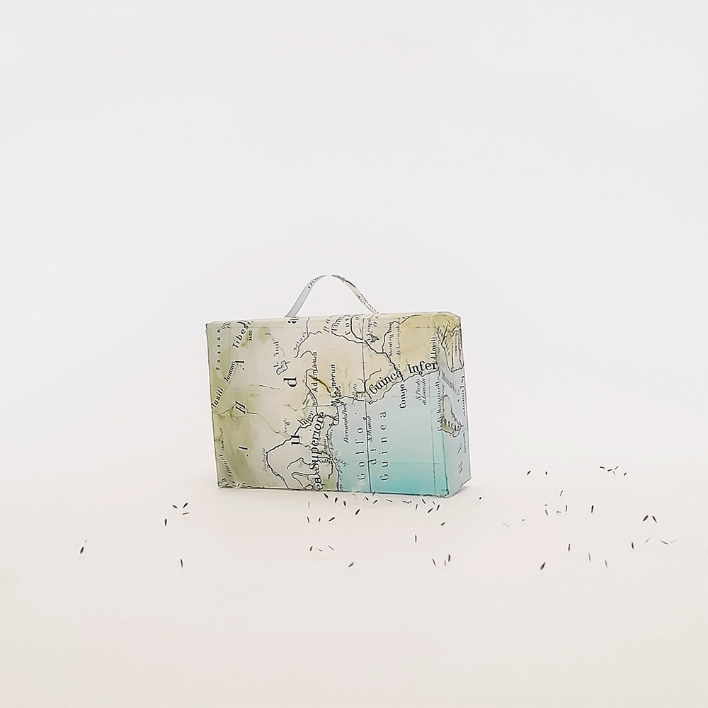 Mostra in corso